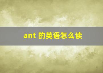 ant 的英语怎么读